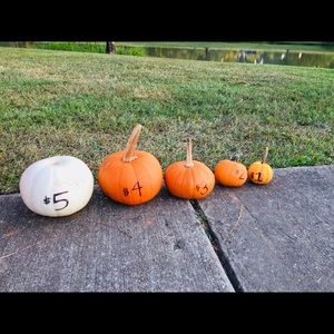 Meet your Posher, Mai